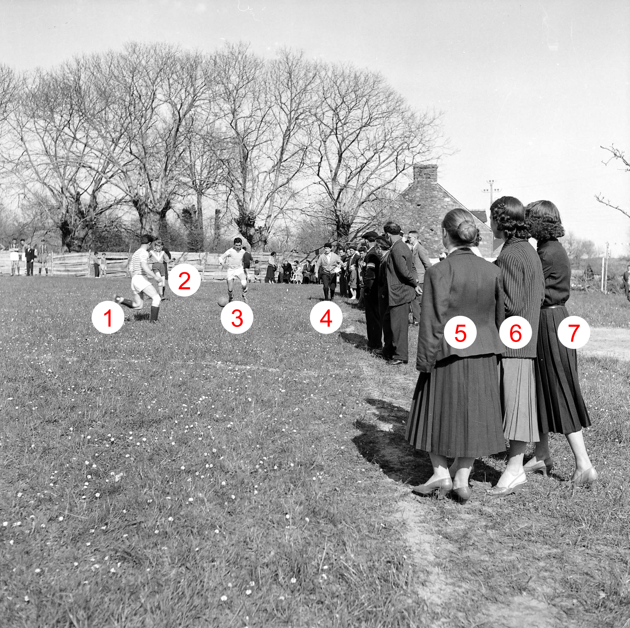 Trois belles spectatrices