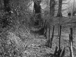 Un chemin à la rivière Aff