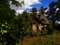 Chemin de la Bergerie